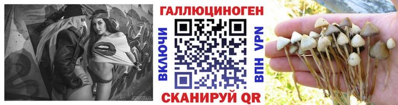 Купить  Вичуга  Псилоцибиновые грибы Magic Shrooms 